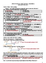 Đề ôn thi học kì môn Ngữ văn Lớp 7 - Năm học 2019-2020 - Đề số 2 (Có đáp án)